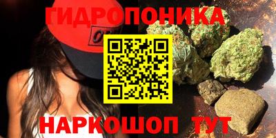 ГАЛЛЮЦИНОГЕННЫЕ ГРИБЫ Краснознаменск
