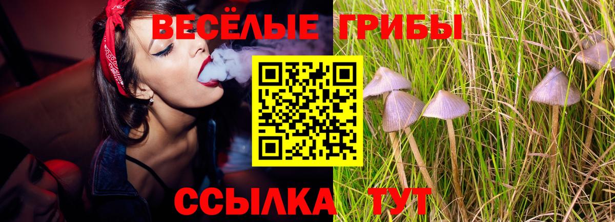 Псилоцибиновые грибы ЛСД Ипатово
